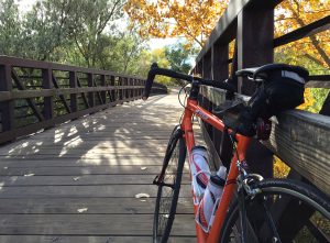 Diagonal Lines & Rule of Thirds