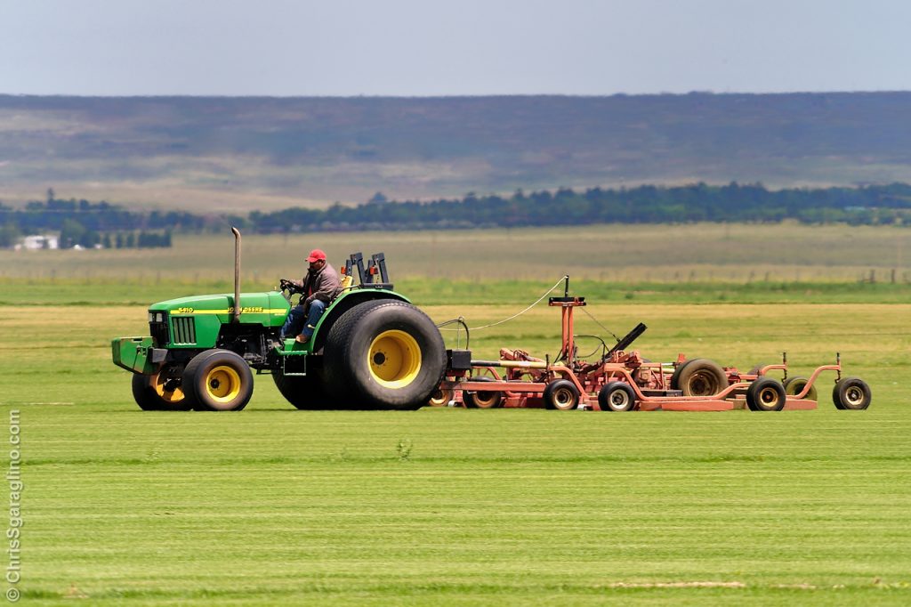 A days work on the sod farm