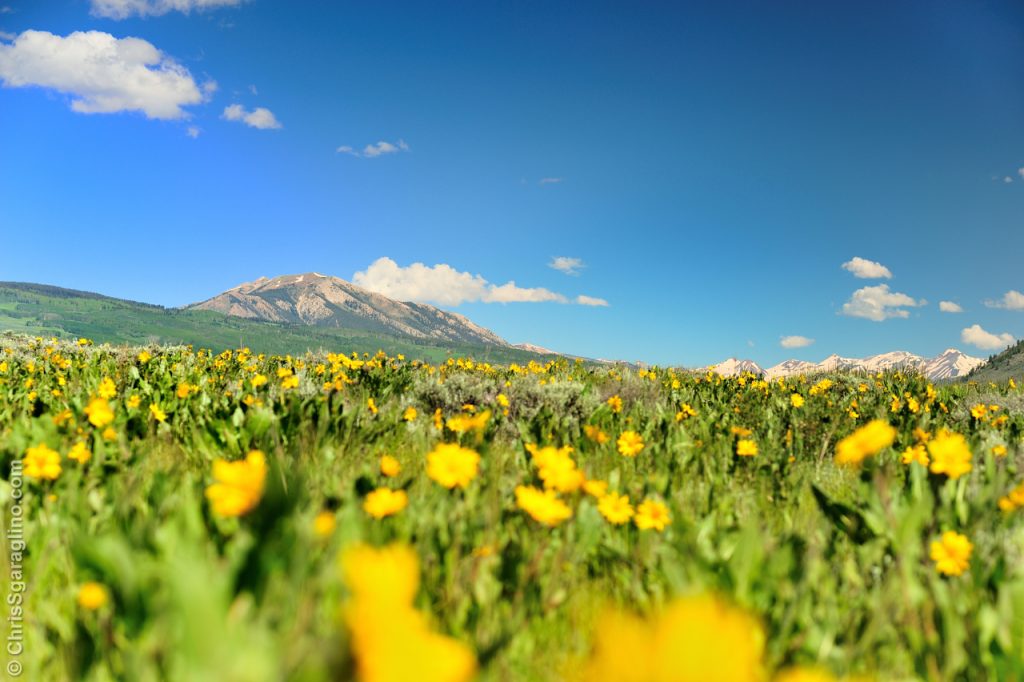 We stopped on the side of Jacks Cabin Road on our way to Crested Butte, CO