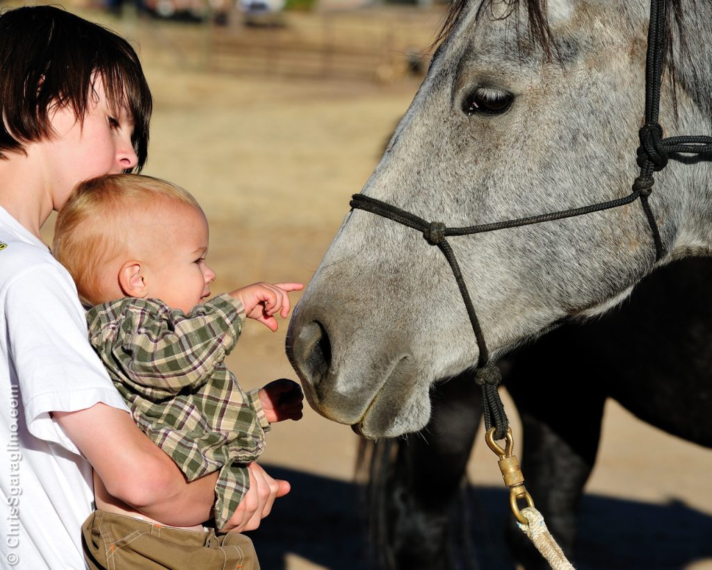 Carson on the Ranch with the Horses